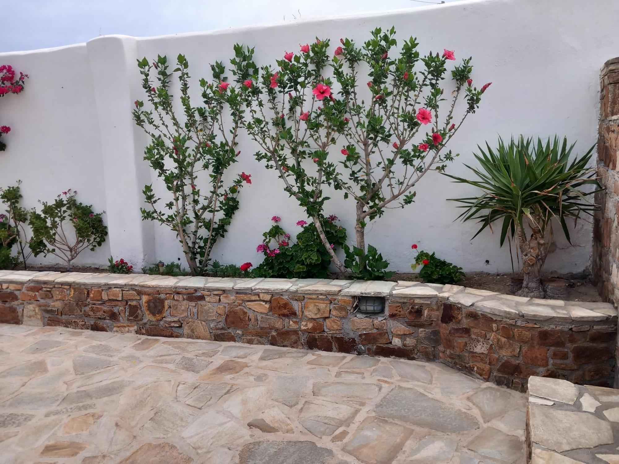 Vaso Studios & Apartment In Naxos Town Naxos City 외부 사진